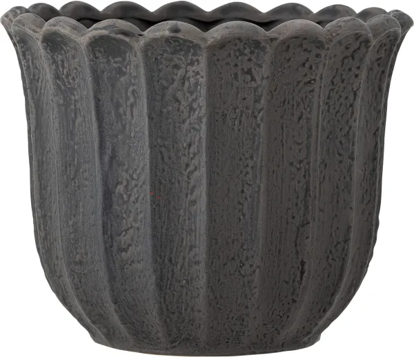 Chaca, Kruka, mörkbrun